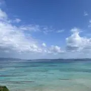 コトヒメ
