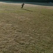 ☆☆☆の画像