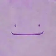 粉末