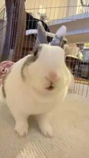 もっぷの画像