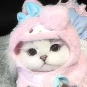 N ♡の画像