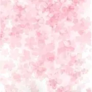ぱいど (プロフお読み下さい)の画像
