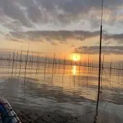 ☆松っちゃん海苔☆