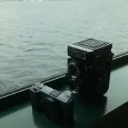 nyu