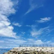 ぽぽんた☺の画像