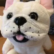 Rossiの画像