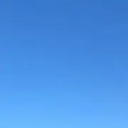 りほ