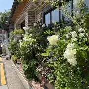 のっぽ