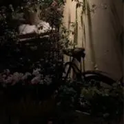 まひの画像