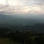 Kota