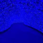 ポコ犬君の画像
