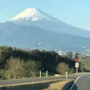 茶々太郎