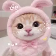 ⟡.*♡の画像