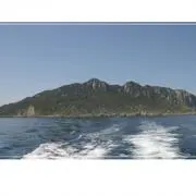 たごりんの画像