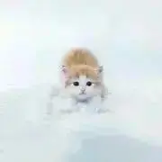 mikanの画像
