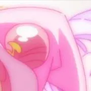 希の画像