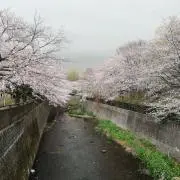 ねじろうの画像
