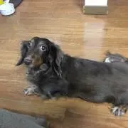 たろう