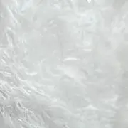 sh
