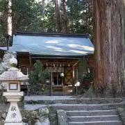 音香の画像