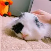 しゅとの画像