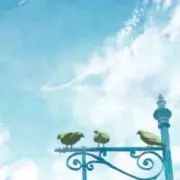 むらの画像