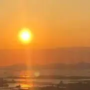 にな