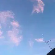 Rの画像