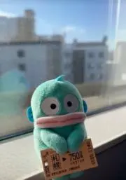 ぎの画像
