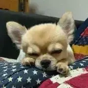 ☆あんちゃん☆お値下げOKの画像