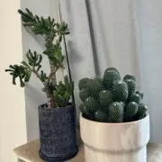 3Rの画像