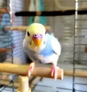 そらちゃん