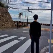 テンの画像