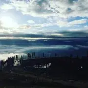 とみしょーの画像