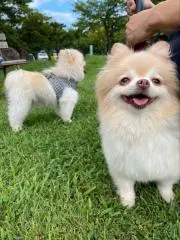そら坊の画像