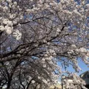 飯田 24時間以内に発送