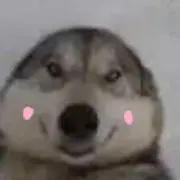 yomの画像