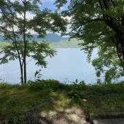 SaRの画像