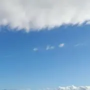 リュリュの画像