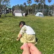 うさぎの画像