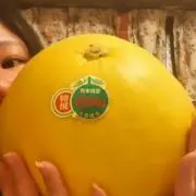 断捨離魔☆きょうこの画像