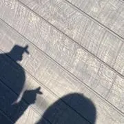 NANAの画像