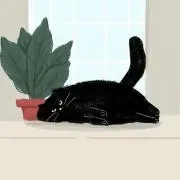ココアの画像