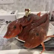 ＊＊814459＊＊(๑˃̵ᴗ˂̵)の画像