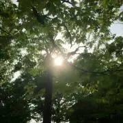 naoyamaの画像