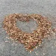 ♡ちょこ♡プロフ必読♡の画像