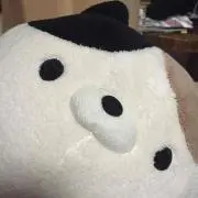 パンダネルラ