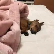 り