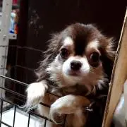 yumiの画像