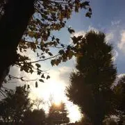 roroの画像